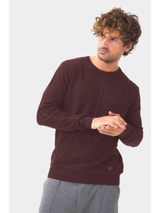 Мъжки пуловер 801589-30 | INDIGO Fashion