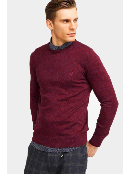 Мъжки пуловер 33006-30 | INDIGO Fashion