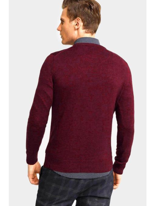 Мъжки пуловер 33006-30 | INDIGO Fashion - 1