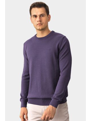 Мъжки пуловер 33006-48 INDIGO Fashion