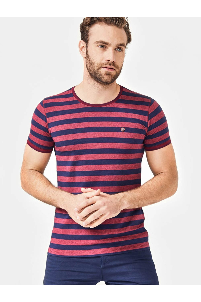 Мъжка тениска на райе - цвят бордо B29304 INDIGO Fashion 