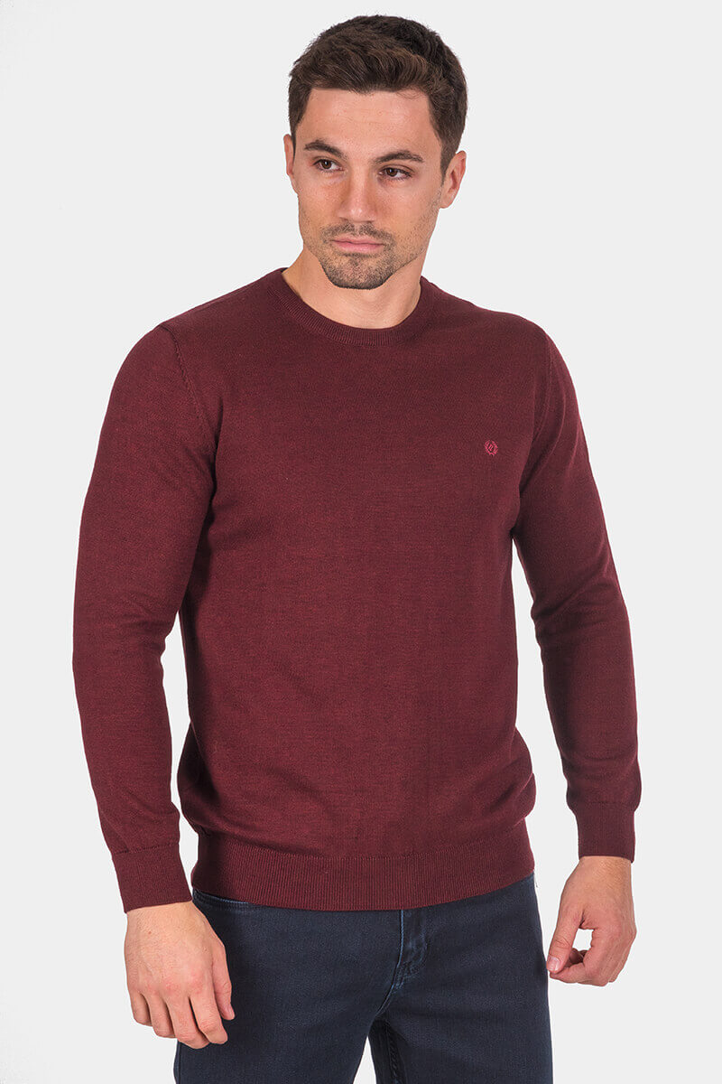 Мъжки пуловер 33006-30 MCL