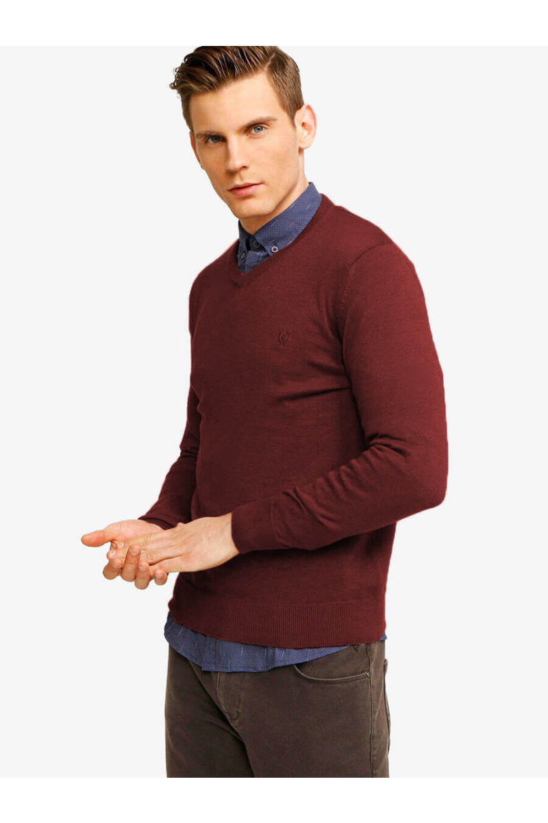 Мъжки пуловер 33004-30