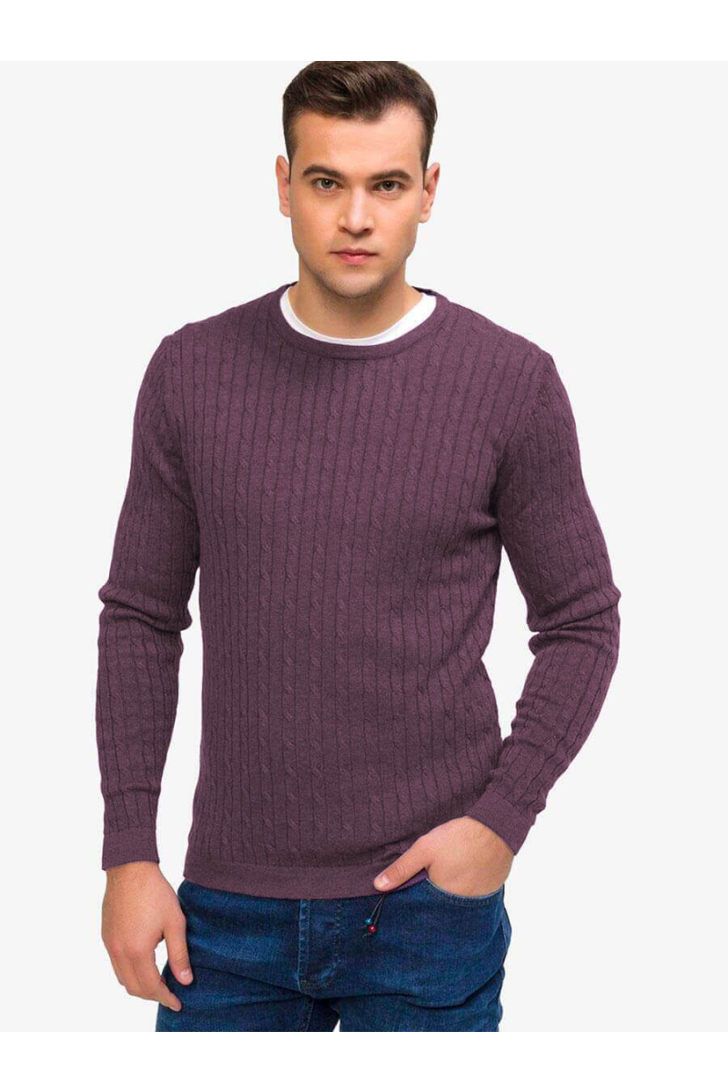 Мъжки пуловер 33187-48 INDIGO Fashion