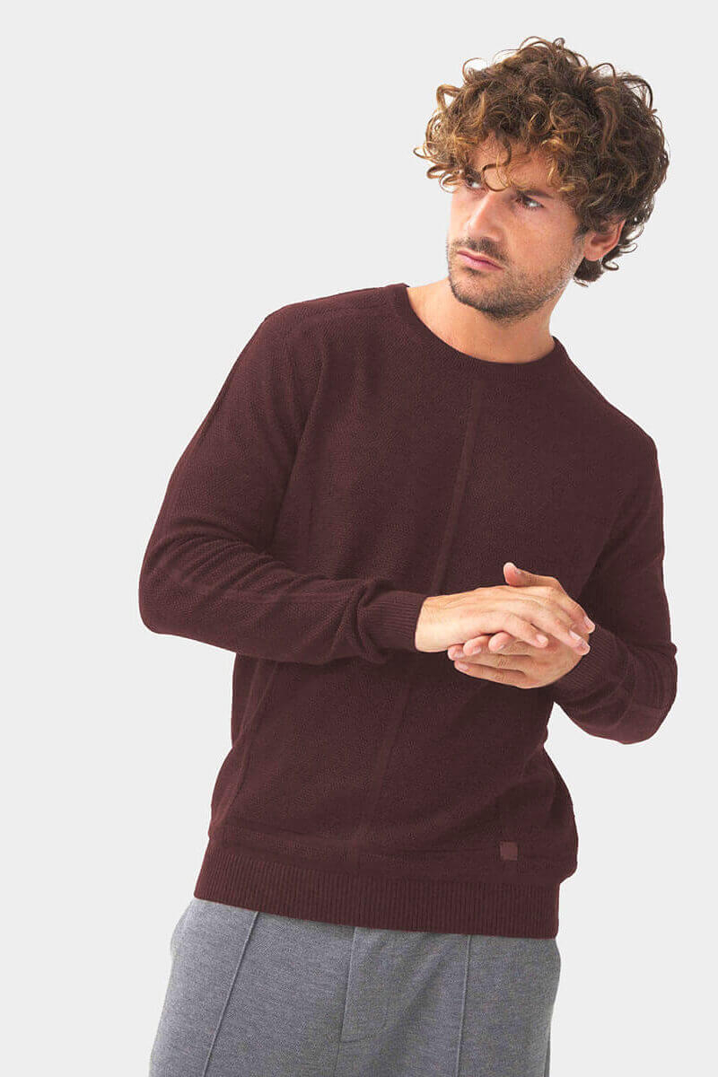 Мъжки пуловер 801589-30 INDIGO Fashion