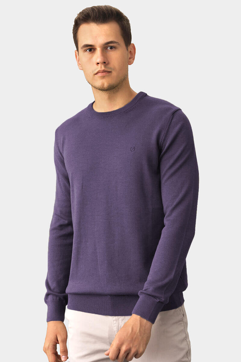 Мъжки пуловер 33006-48 INDIGO Fashion